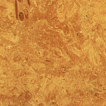 Flowery Gold Sandstones