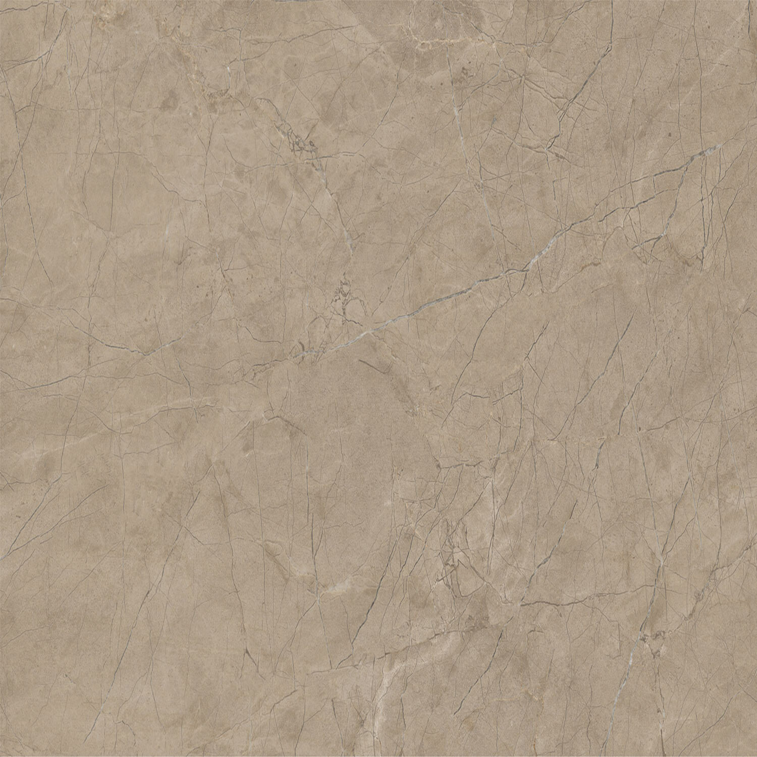 Differ Taupe